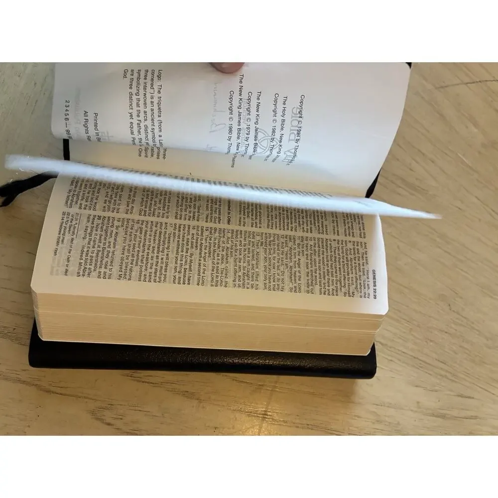 bible new king